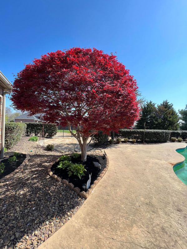 Landscape Design & Installation
