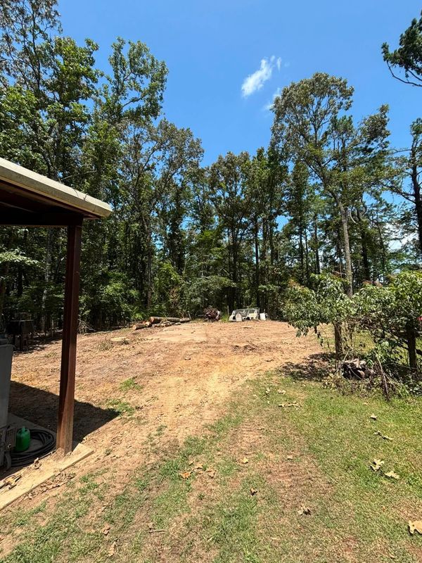 Land Clearing