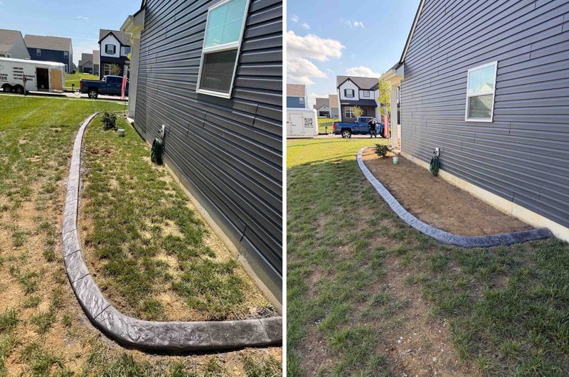 Lawn Care and Maintenance