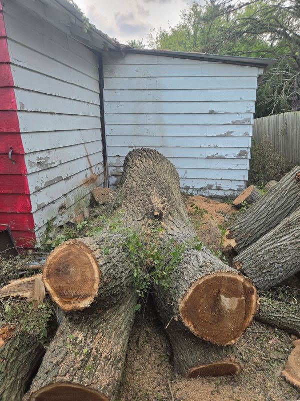 Emergency Tree Service