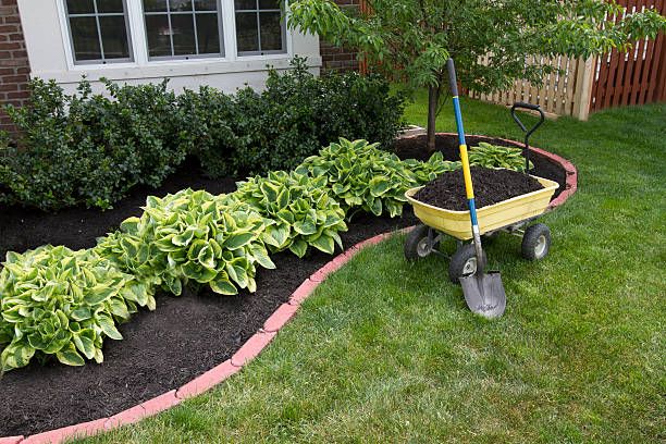 Mulching Services