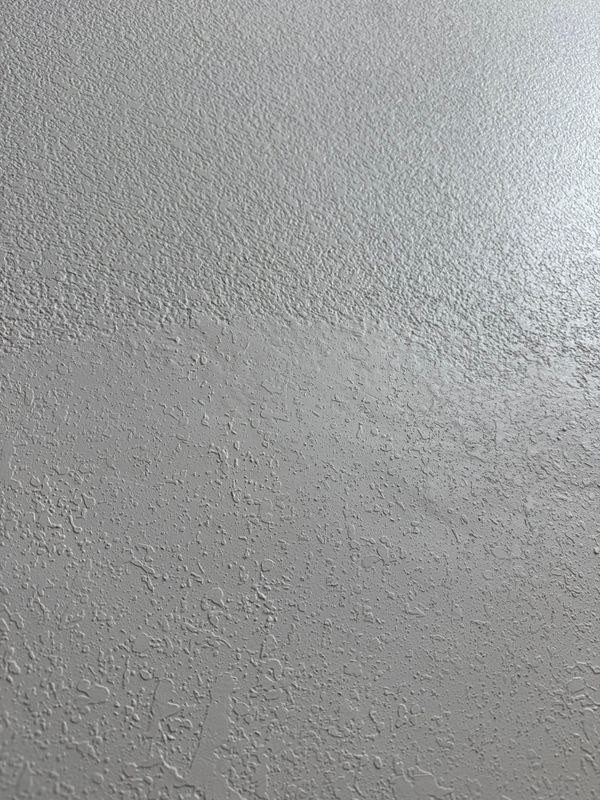 Ceiling Texture Matching & Repair