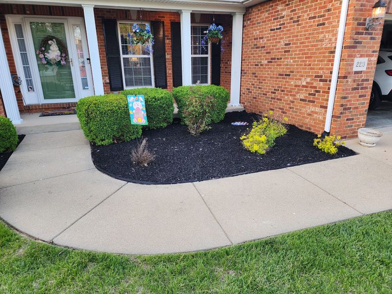 Mulch Bed Installation and Renovation