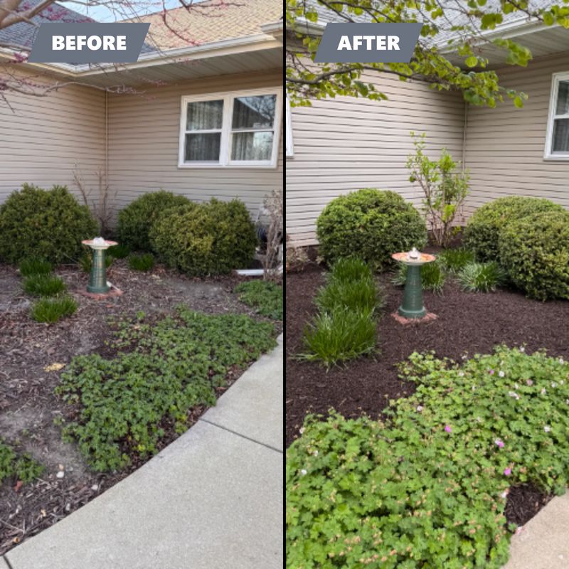 Before & After