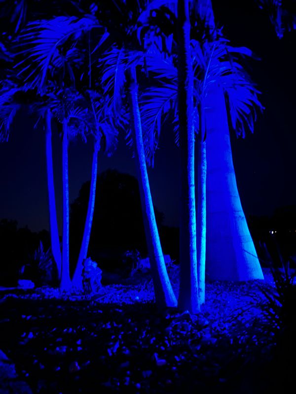 Landscape Lighting 