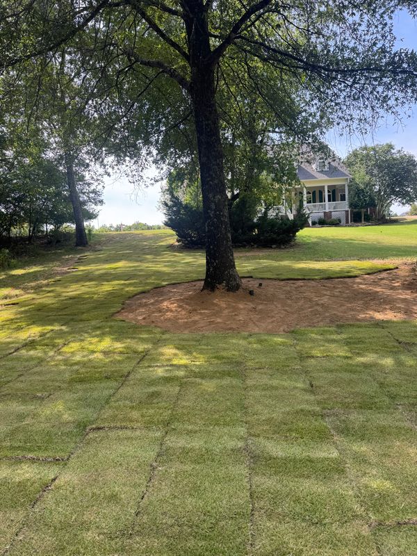Sod Installation