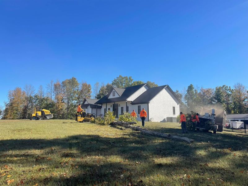 Other Tree Services