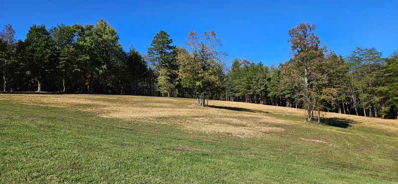 Residential Mowing