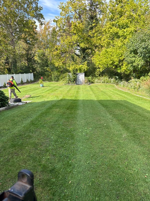 Lawn Care & Maintenance