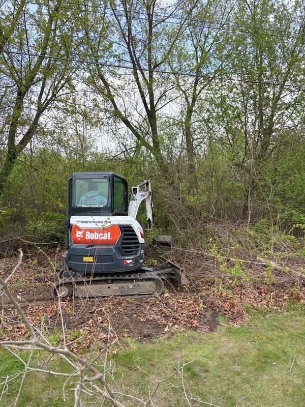 Stump Removal
