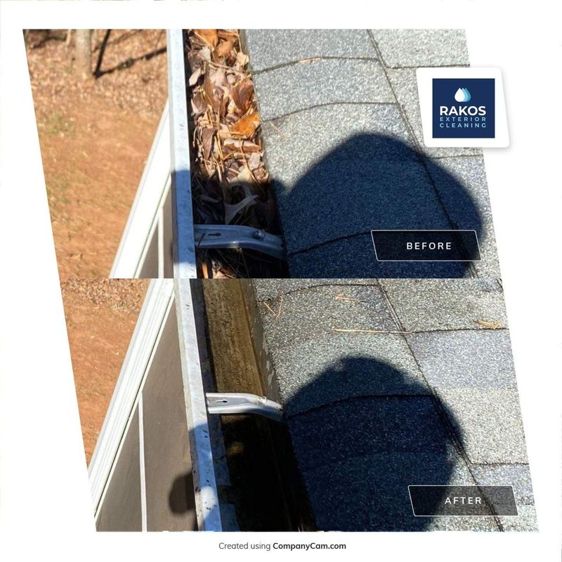 Gutter Cleaning