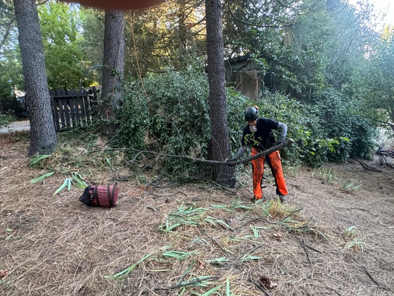 Property Beautification