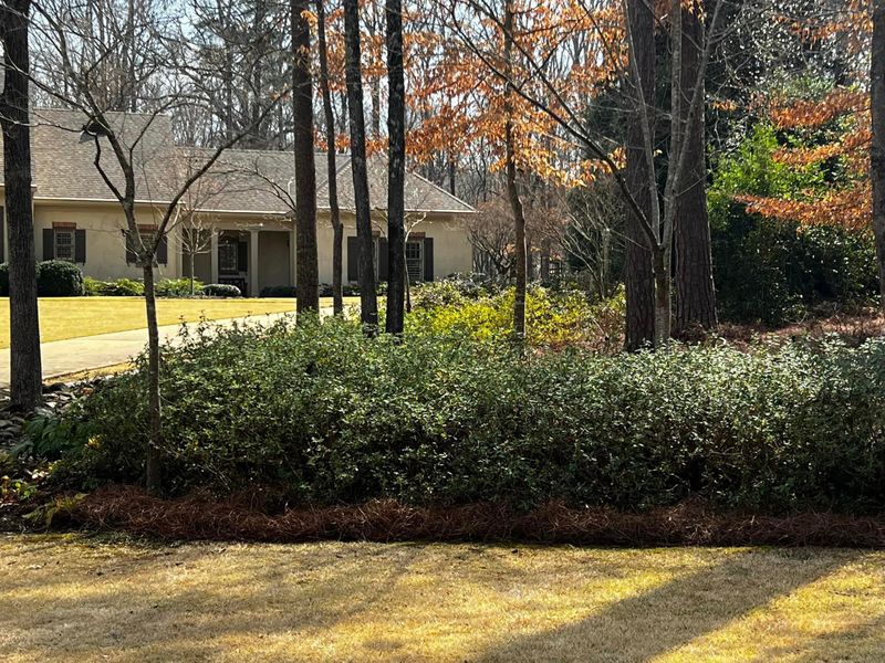 Lawn Care