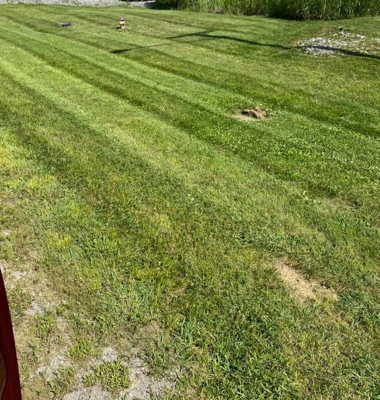 Lawn Care
