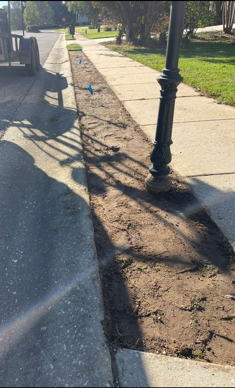 Sod Installation