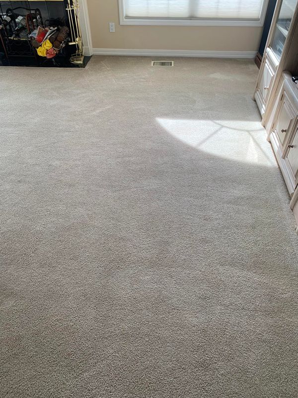 Carpet Cleaning
