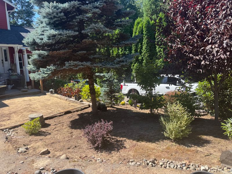 Patio Design & Construction