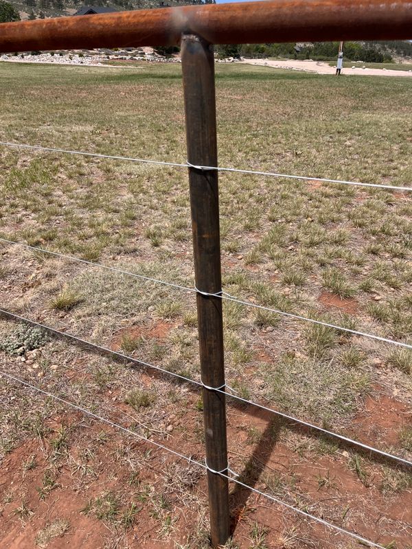 Barbed Wire