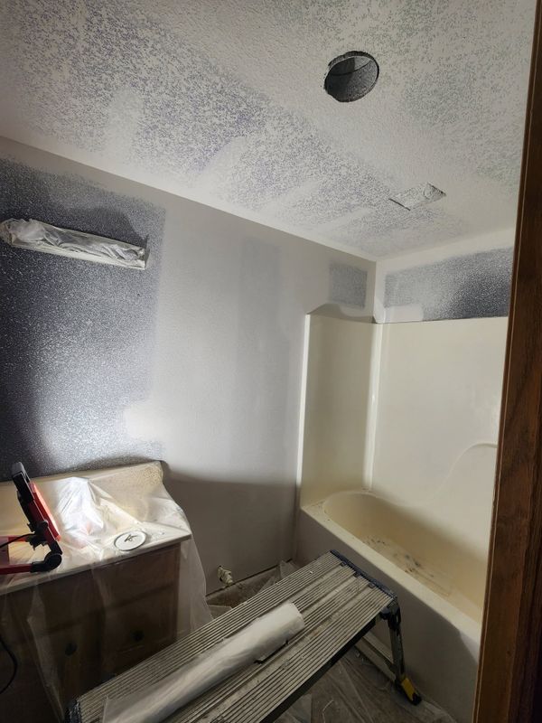 Mold Remediation