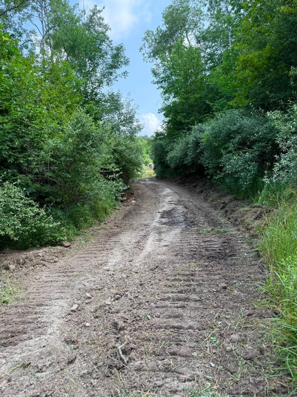 Land Clearing