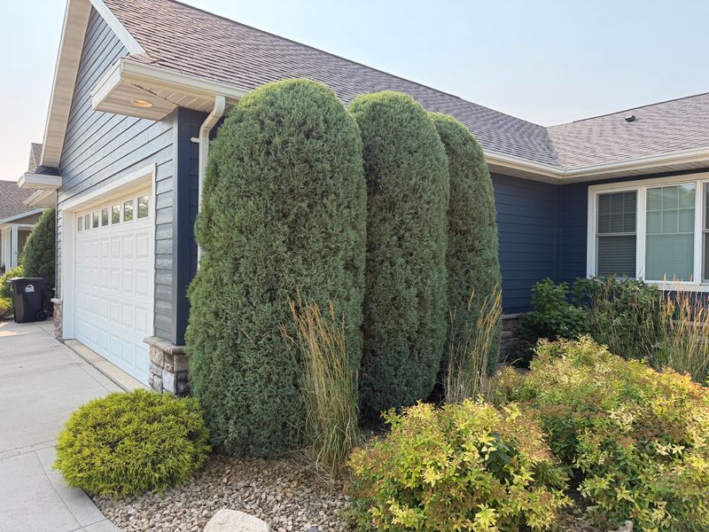 Tree & Shrub Trimming | Meticulous Mowing LLC | Grand Forks, ND