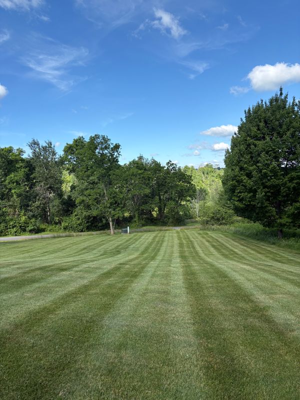 Lawn Maintenance