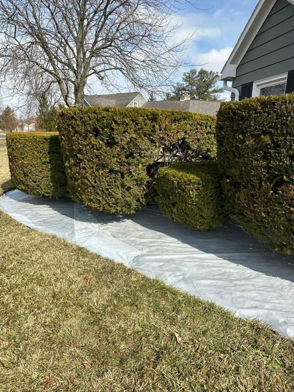 Landscape design
