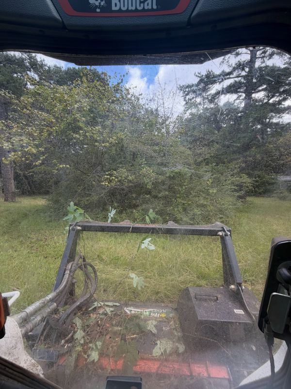 Land Clearing Photos