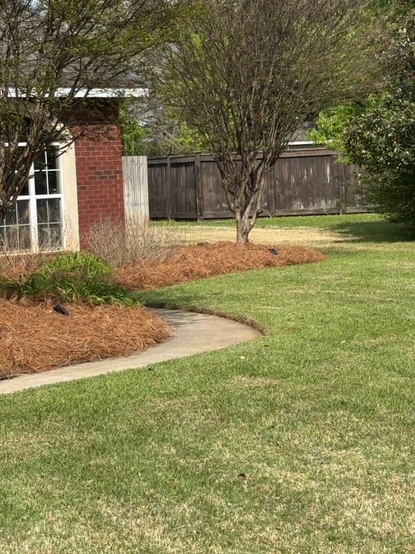 Land Managment 