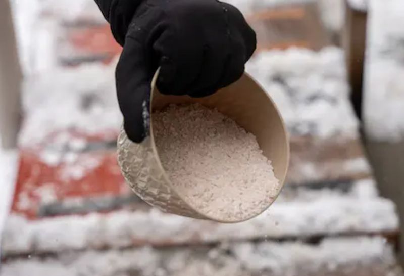 Ice Management
