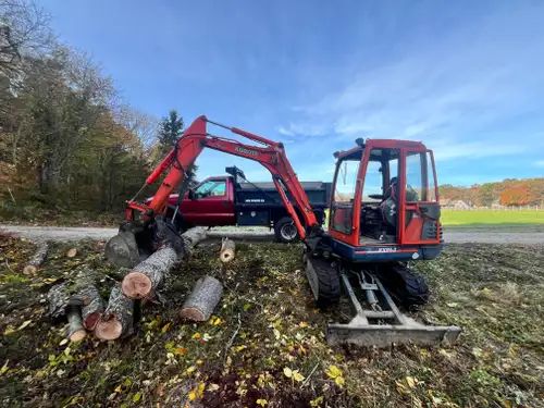 Brush & Tree Removal