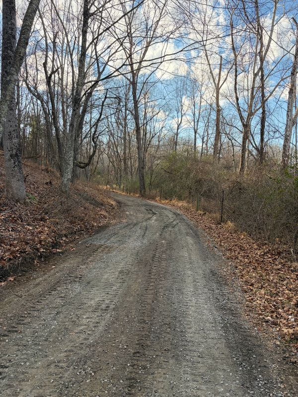 Road Regrading