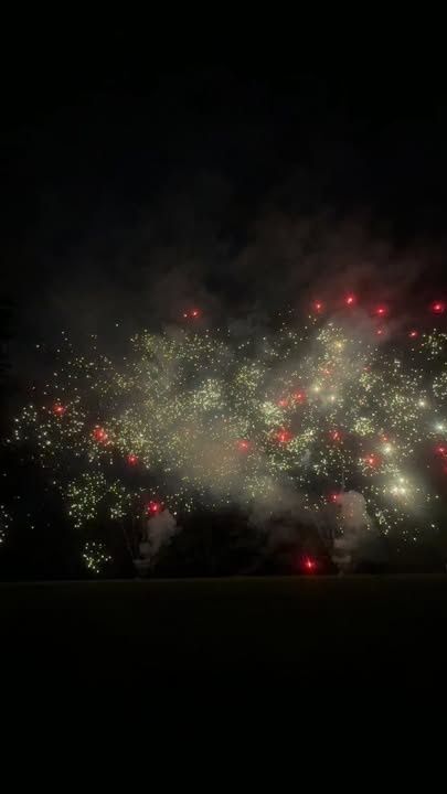 Gender Reveal Firework Displays / Show