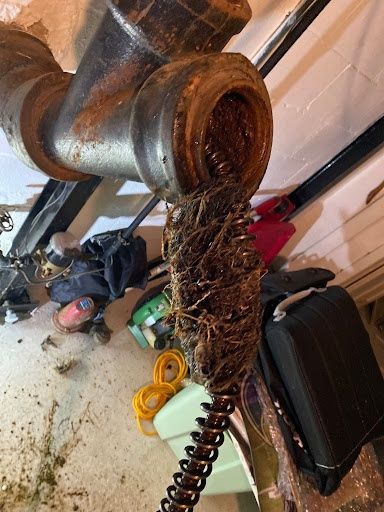 Drain Cleaning