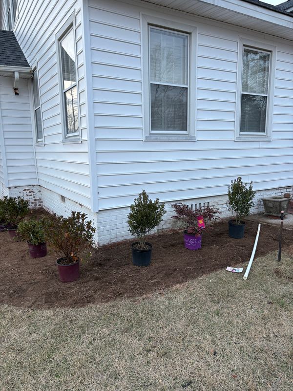 Landscape Design
