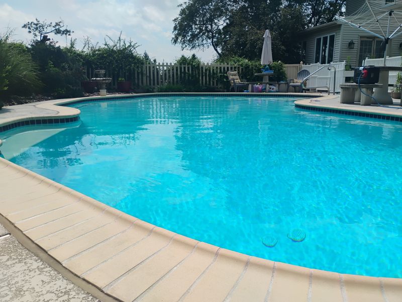 Pool Contractor