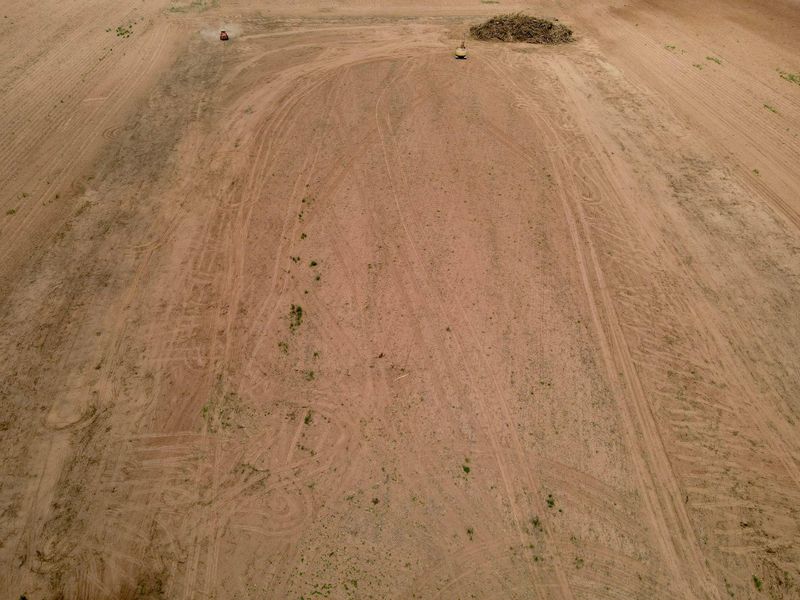 Land Clearing