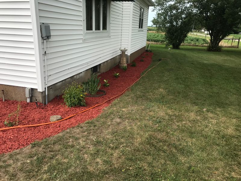 Mulch Installation
