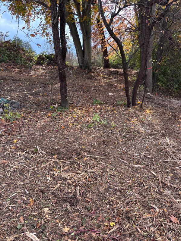 Forestry Mulching