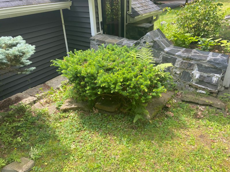 Garden Maintenance