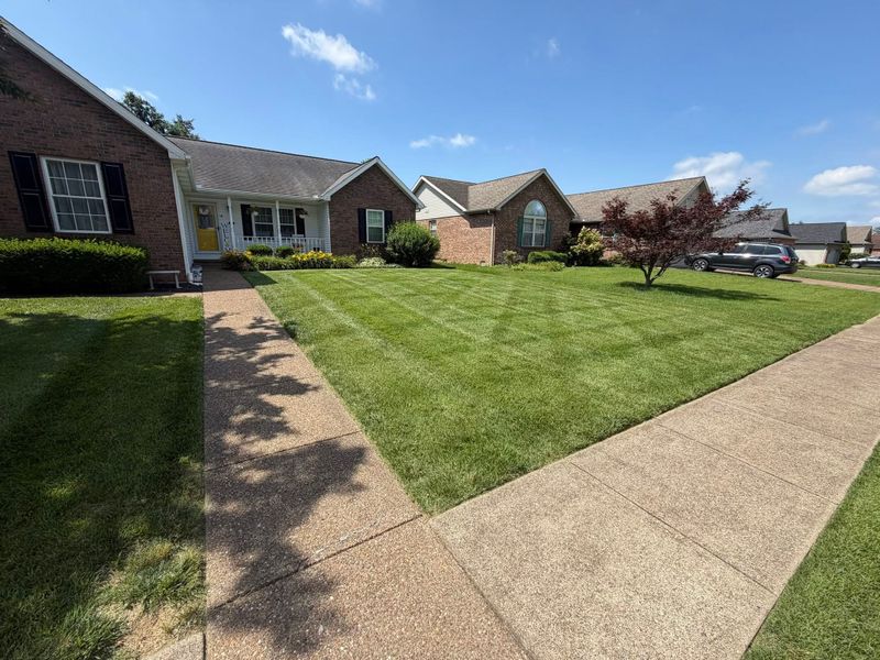 Lawn Fertilization