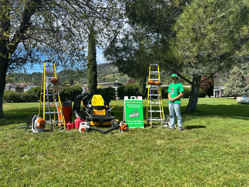 Tree & Shrub Care