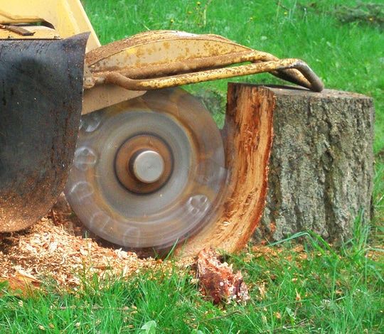 Stump Grinding