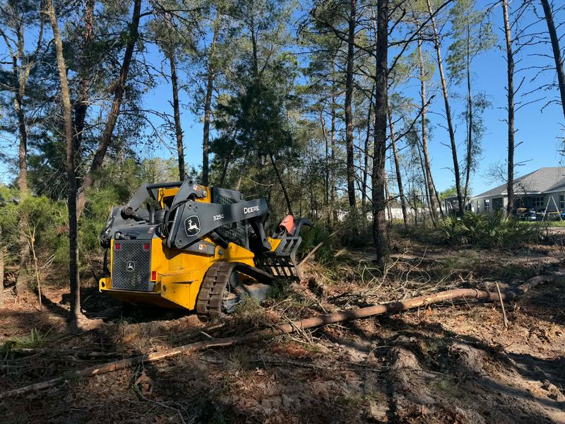 Land Clearing