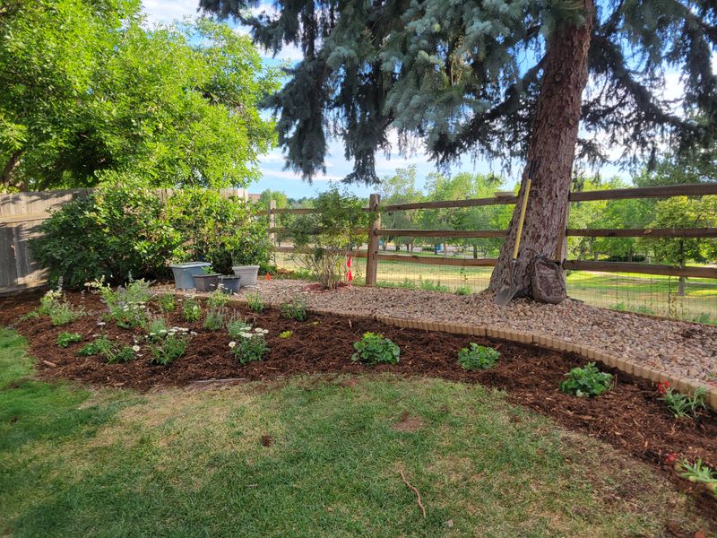 Mulch Installation