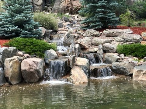 Pond Construction