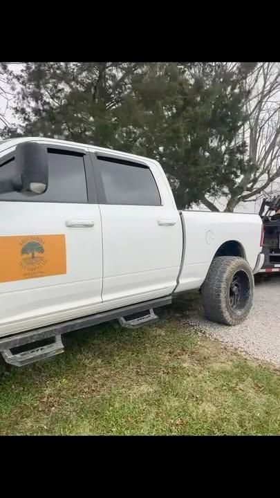 Other Tree Services