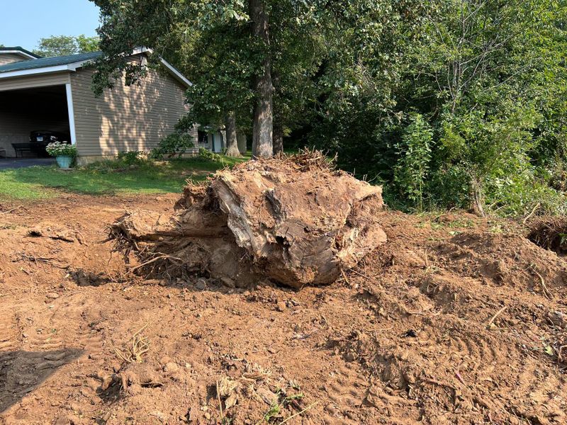 Trenching and Utilities