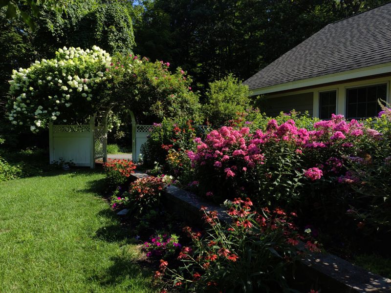 Tree & Shrub Care