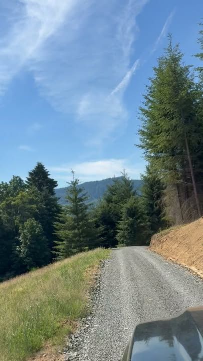 Road Construction